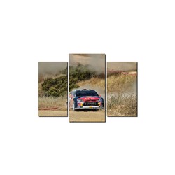 Leinwandbild Dani Sordo / Marc Marti - Citroen C4 WRC 90 x 50 cm