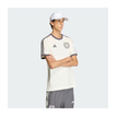 Mercedes AMG F1 2026 T-Shirt Silver Arrows Icon