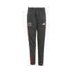Audi Revolut F1 2026 Kinder-Hose DNA