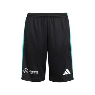Mercedes AMG F1 2025 Kinder Shorts DNA Logo