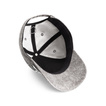 Ferrari F1 2025 Baseballkappe Graphic Gray