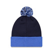 Williams F1 2026 Beanie Essentials