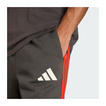 Audi Revolut F1 2026 Shorts DNA