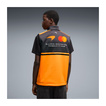 McLaren F1 2026 Team Weste