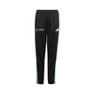 Mercedes AMG F1 2025 Kinder Jogginghose DNA Logo