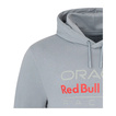 Red Bull Racing 2025 Herren Kapuzensweatjacke Logo Grau