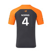 McLaren F1 2025 Herren T-Shirt Set Up Norris Team Grau