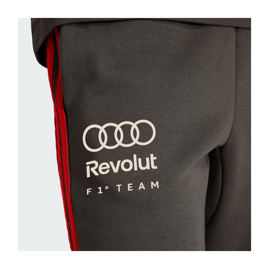 Audi Revolut F1 2026 Hose DNA
