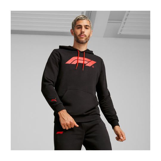 Formel 1 2025 Herren Kapuzenpullover Logo Schwarz