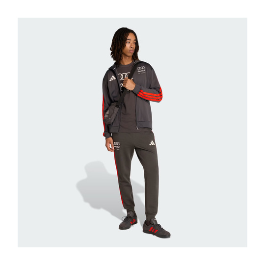 Audi Revolut F1 2026 T-Shirt DNA Graphic grau