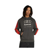 Audi Revolut F1 2026 Kapuzenpullover DNA