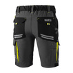 Sparco Herren Shorts TECH Grau