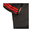 Audi Revolut F1 2026 Kapuzenpullover DNA
