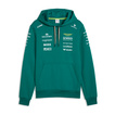 Aston Martin F1 2026 Team Kapuzenpullover