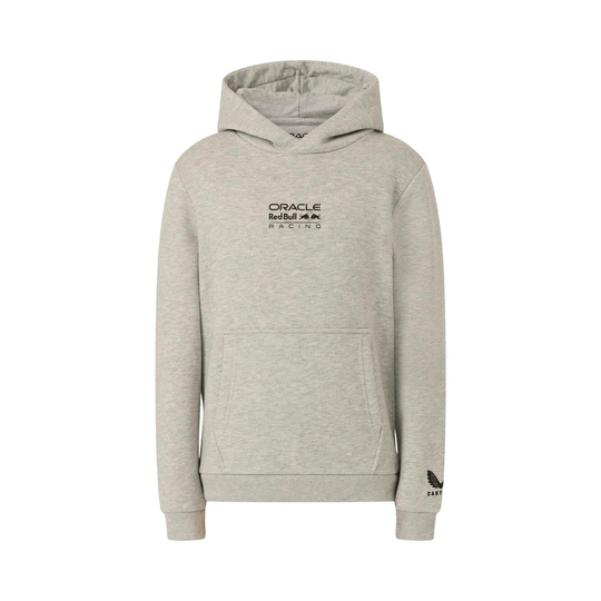 Red Bull Racing 2026 Kinder Hoodie Graphic Bull Grau