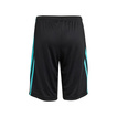 Mercedes AMG F1 2025 Kinder Shorts DNA Logo