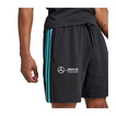 Mercedes AMG F1 2025 Herren Shorts DNA Logo