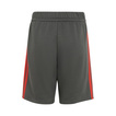 Audi Revolut F1 2026 Kinder-Shorts DNA