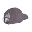 Audi Revolut F1 2026 Team Cap grau