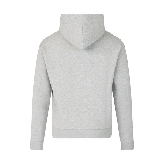 Red Bull Racing F1 2026 Kapuzenpullover Logo grau