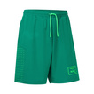Aston Martin Racing 2026 Team Shorts Racing