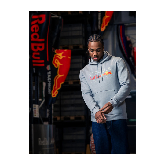 Red Bull Racing 2025 Herren Kapuzensweatjacke Logo Grau
