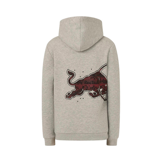 Red Bull Racing F1 2026 Kinder Hoodie Graphic Bull grau