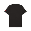 Formula 1 2025 Herren T-Shirt DTS Graphic Schwarz