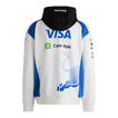 Visa Cash App Racing Bulls 2025 Herren Kapuzensweatjacke Team