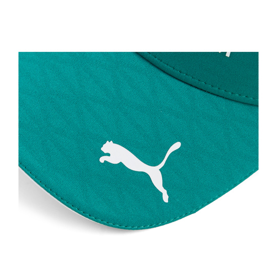 Aston Martin F1 2026 Lance Stroll Team Cap grün