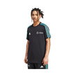 Mercedes AMG F1 2025 Herren T-Shirt DNA Logo Schwarz