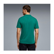 Aston Martin F1 2026 Poloshirt Seasonal grün