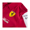 Ferrari AF Corse 2025 Herren Poloshirt Team