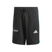 Mercedes AMG F1 2025 Herren Shorts DNA Logo