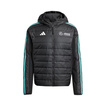 Mercedes AMG F1 2025 Herrenjacke DNA Puffer