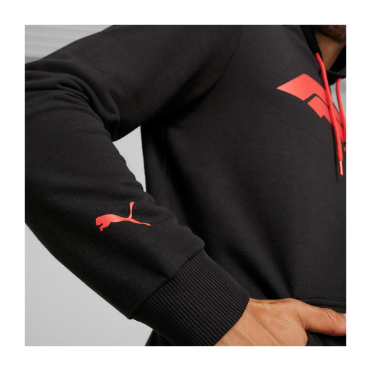 Formel 1 2025 Herren Kapuzenpullover Logo Schwarz