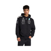 Mercedes AMG F1 2026 Kapuzenpullover Team