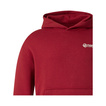 Haas F1 2026 Kapuzenpullover USA Flag TGR