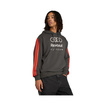 Audi Revolut F1 2026 Kapuzenpullover DNA
