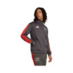 Audi Revolut F1 2026 Sweatjacke DNA