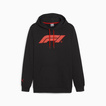 Formel 1 2025 Herren Kapuzenpullover Logo Schwarz