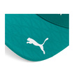 Aston Martin F1 2026 Lance Stroll Team Cap grün
