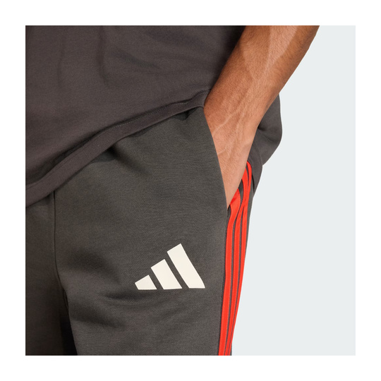 Audi Revolut F1 2026 Shorts DNA