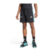 Mercedes AMG F1 2025 Herren Shorts DNA Logo