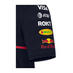 Red Bull Racing 2025 Herren Polohemd Team