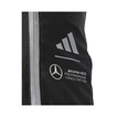 Mercedes AMG F1 2025 Herren Rucksack Advanced