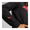 Formel 1 2025 Herren Kapuzenpullover Logo Schwarz