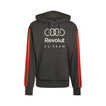 Audi Revolut F1 2026 Kapuzenpullover DNA