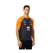 McLaren F1 2025 Herren T-Shirt Set Up Norris Team Grau