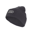 Audi Revolut F1 2026 Herren Wintermütze Team